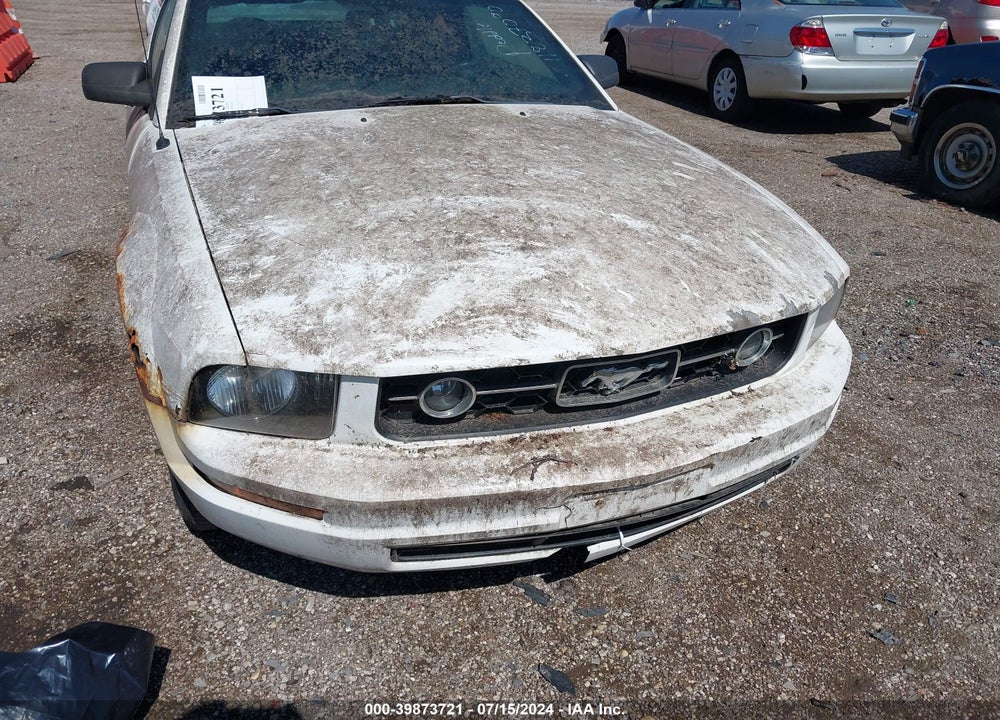 2006 FORD MUSTANG V6 VIN: 1ZVFT80N565180564