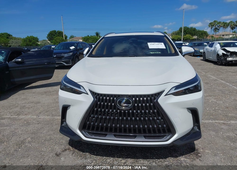 2024 LEXUS NX 250 PREMIUM VIN: JTJGDCAZ4R2014290