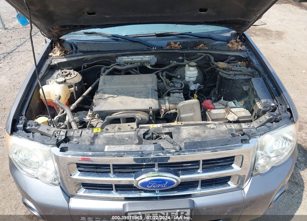 2011 FORD ESCAPE XLT VIN: 1FMCU9DG4BKC68436