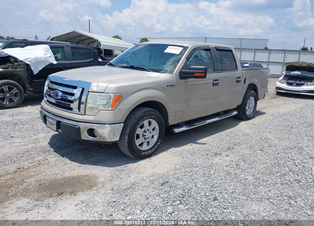 2009 FORD F-150 XL/XLT VIN: 1FTRW12819FB31513