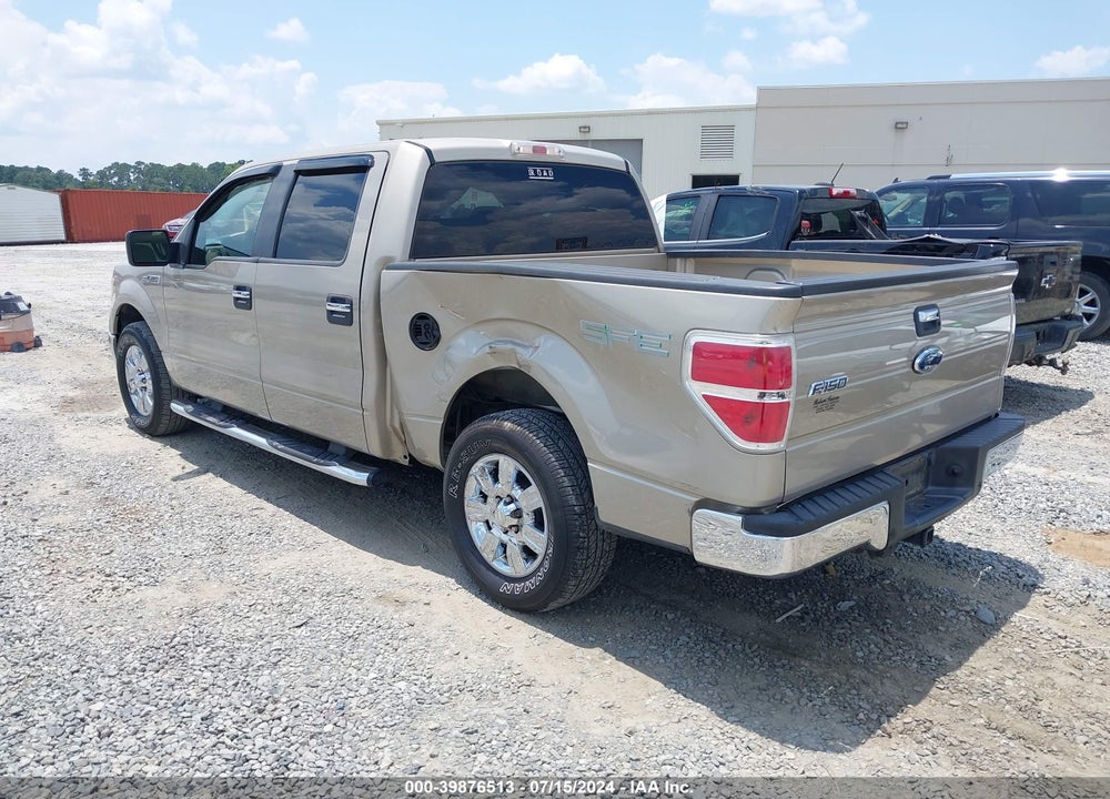 2009 FORD F-150 XL/XLT VIN: 1FTRW12819FB31513