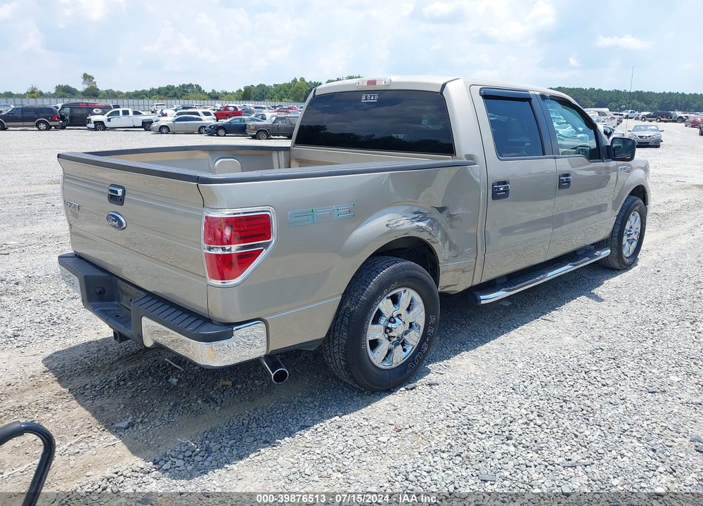 2009 FORD F-150 XL/XLT VIN: 1FTRW12819FB31513