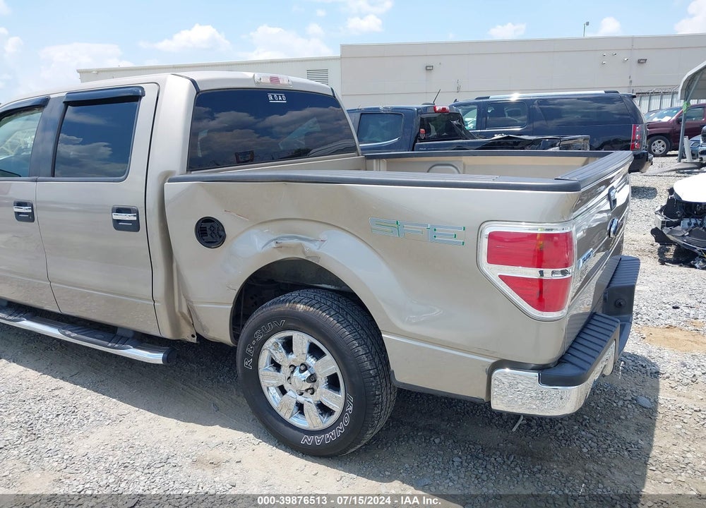 2009 FORD F-150 XL/XLT VIN: 1FTRW12819FB31513
