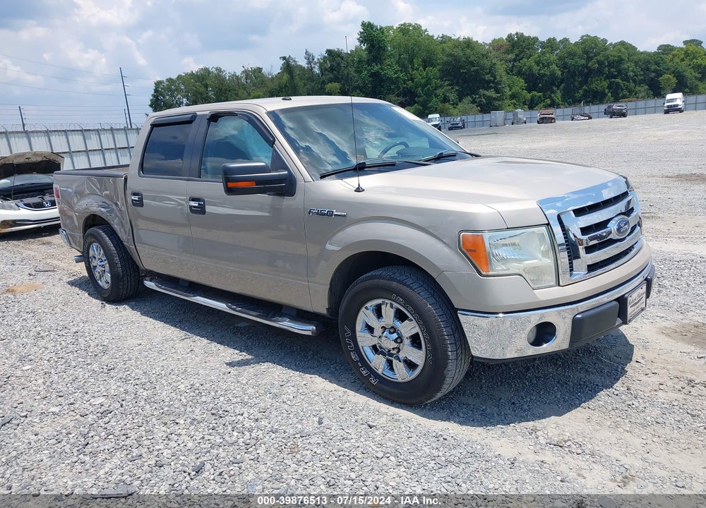 2009 FORD F-150 XL/XLT VIN: 1FTRW12819FB31513