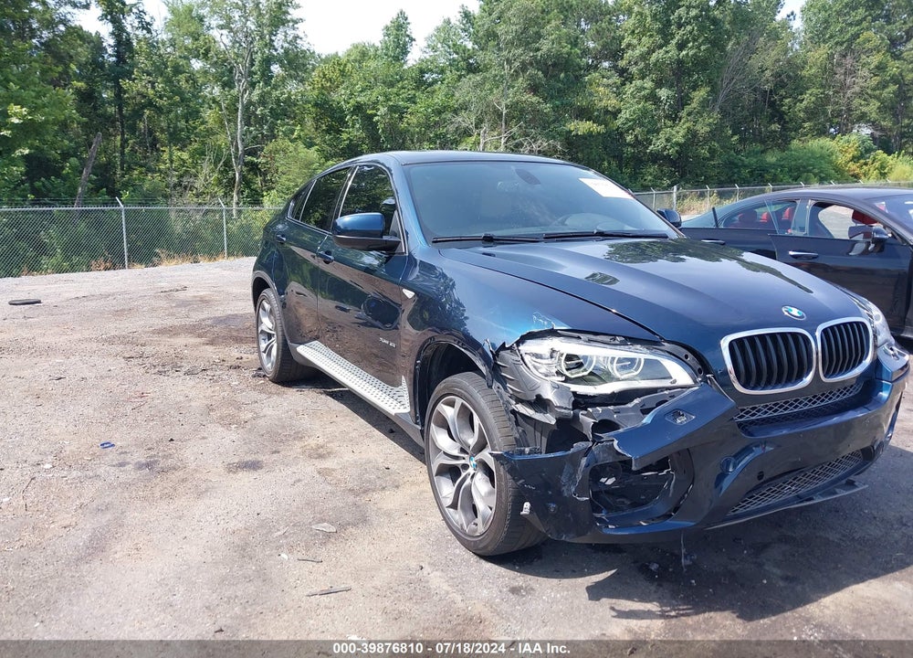 2013 BMW X6 XDRIVE35I VIN: 5UXFG2C55DL785529