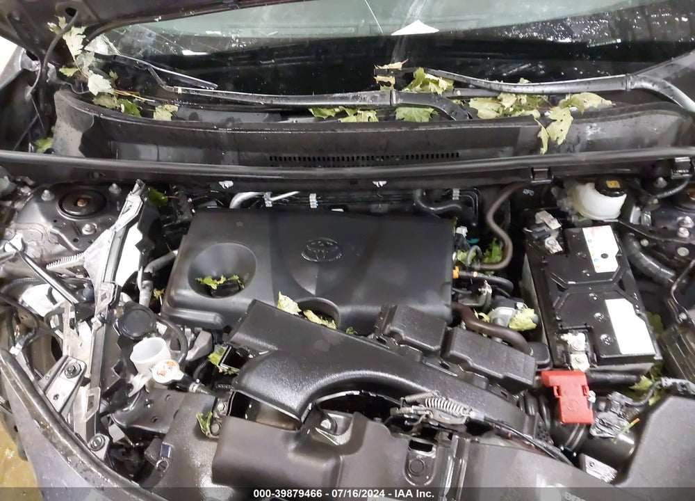 2019 TOYOTA RAV4 LE VIN: JTMF1RFV1KJ016185