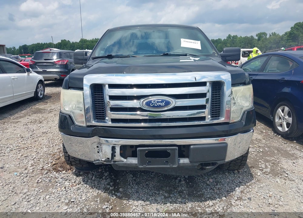 2010 FORD F-150 XL/XLT VIN: 1FTEW1E89AKE23965