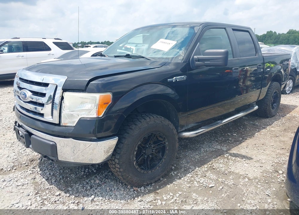 2010 FORD F-150 XL/XLT VIN: 1FTEW1E89AKE23965