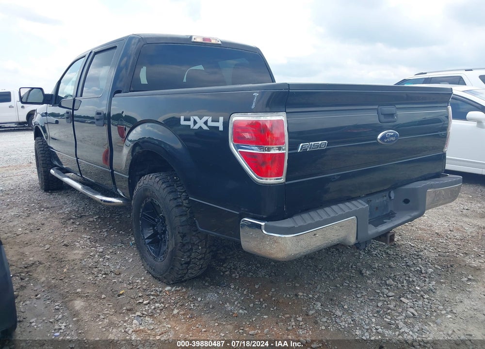 2010 FORD F-150 XL/XLT VIN: 1FTEW1E89AKE23965