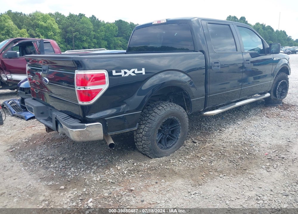 2010 FORD F-150 XL/XLT VIN: 1FTEW1E89AKE23965