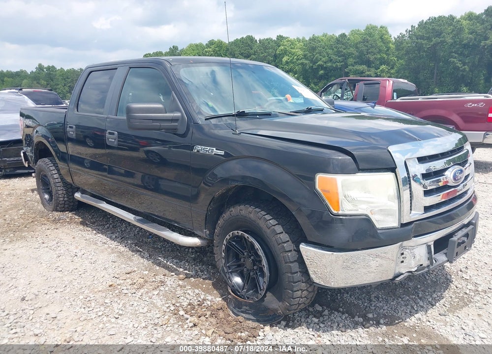 2010 FORD F-150 XL/XLT VIN: 1FTEW1E89AKE23965