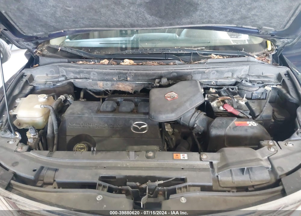2010 MAZDA CX-9 TOURING VIN: JM3TB3MVXA0213660