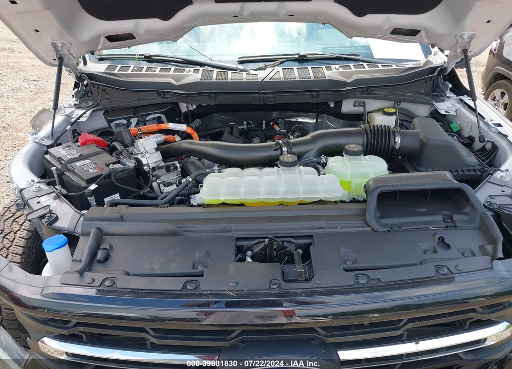 2024 FORD F-150 XLT VIN: 1FTFW3LD8RFA73412