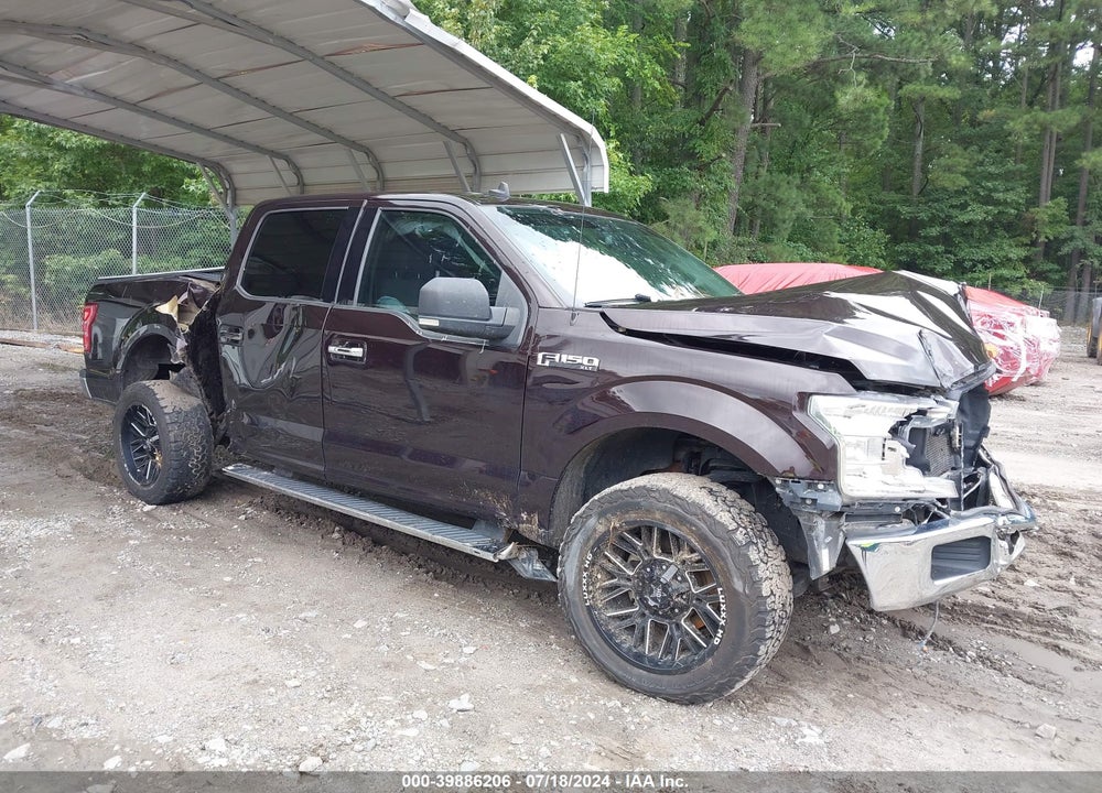 2019 FORD F-150 XLT VIN: 1FTEW1C55KKD49129