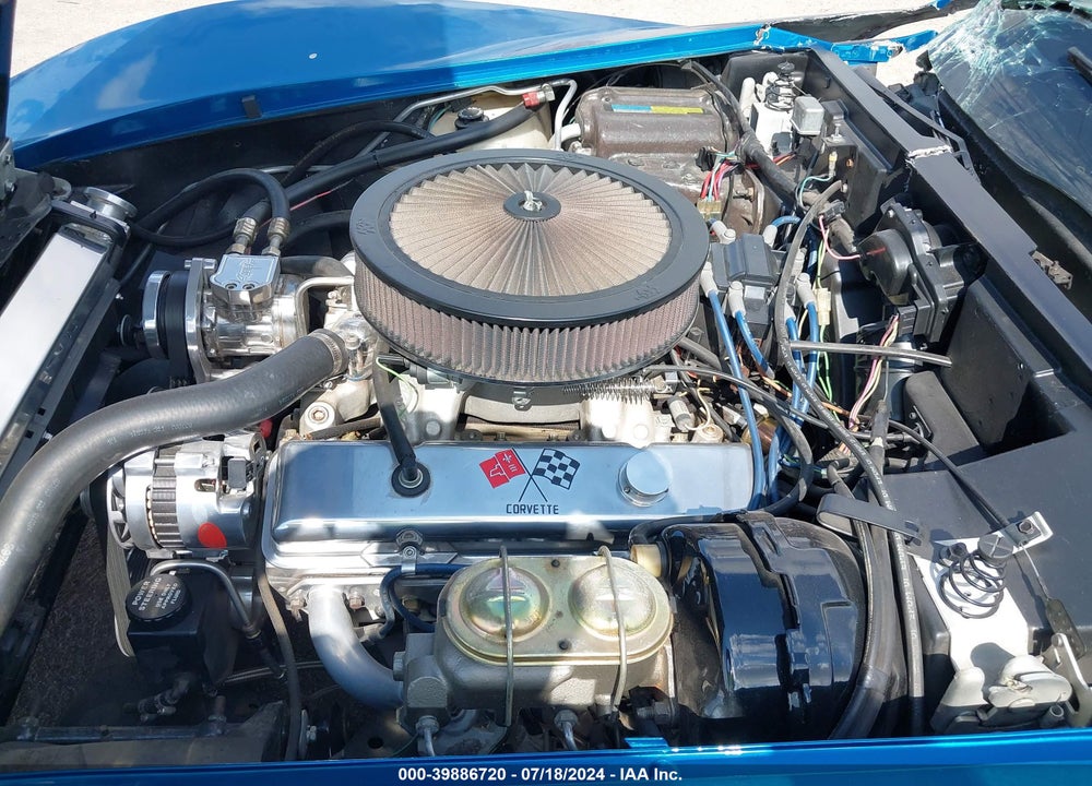 1981 CHEVROLET CORVETTE VIN: 1G1AY8765B5108313