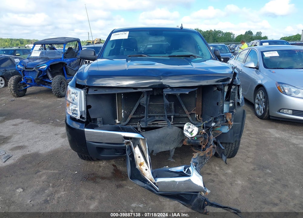 2009 CHEVROLET SILVERADO 1500 LS VIN: 1GCEK19C59Z203266