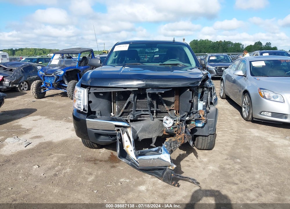 2009 CHEVROLET SILVERADO 1500 LS VIN: 1GCEK19C59Z203266