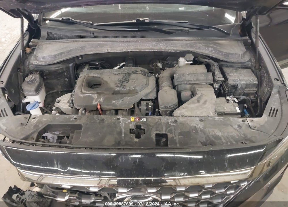 2020 HYUNDAI SANTA FE LIMITED VIN: 5NMS5CAD8LH298895