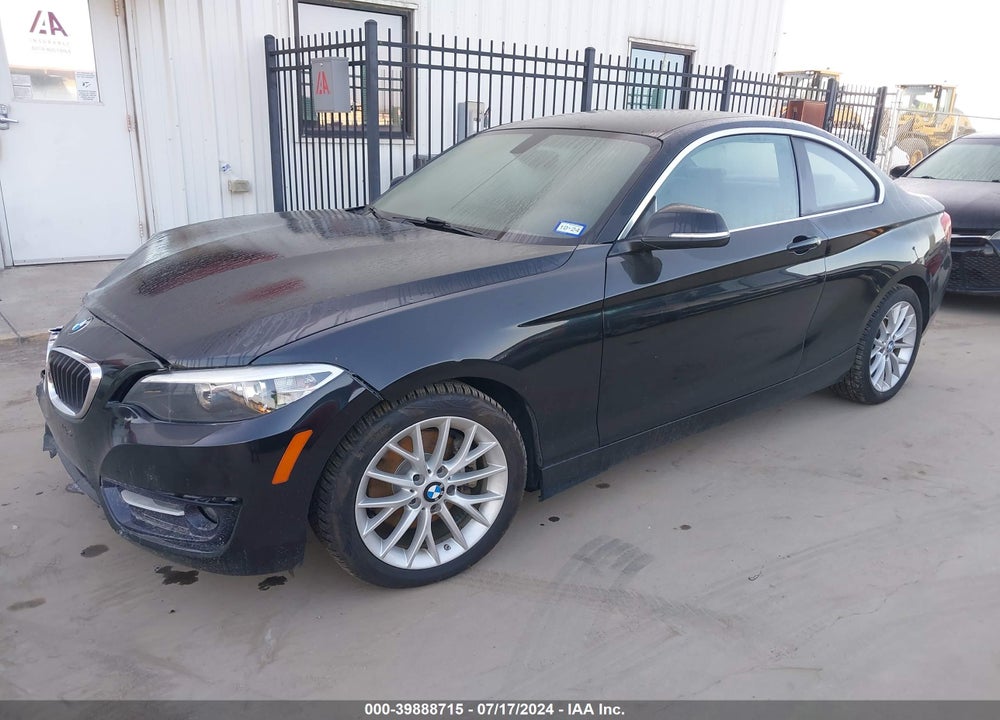 2016 BMW 228I VIN: WBA1F5C51GV344048