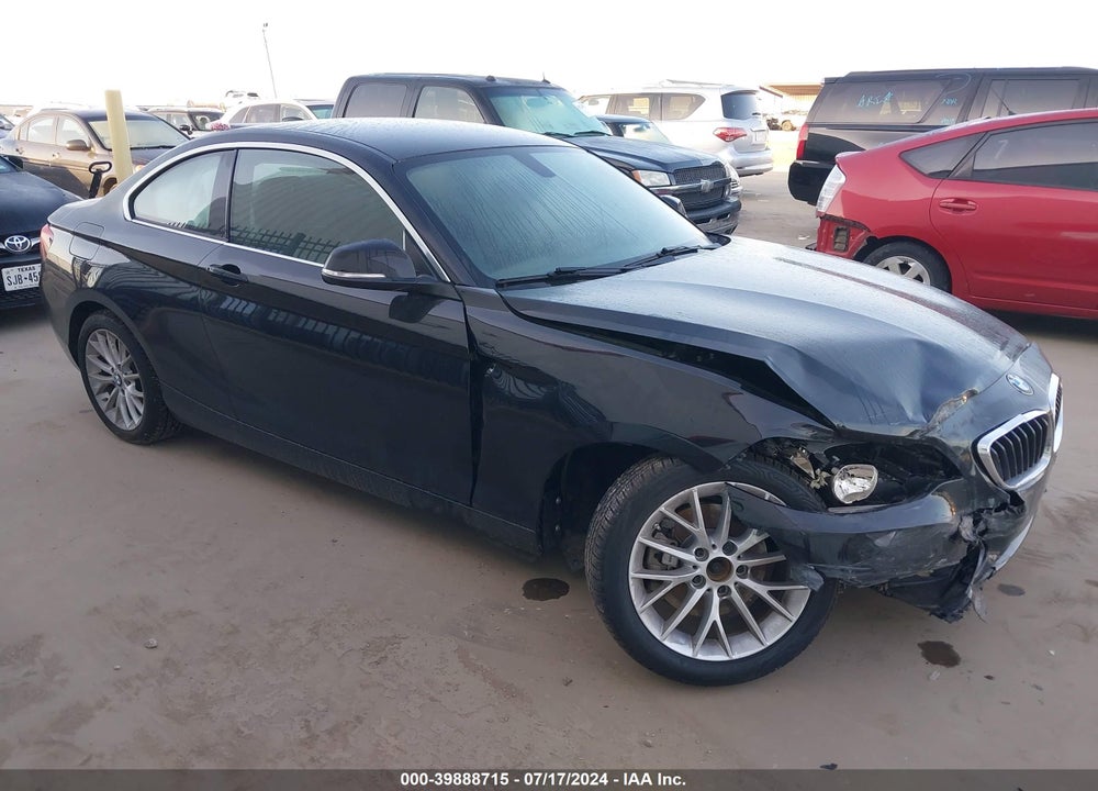 2016 BMW 228I VIN: WBA1F5C51GV344048