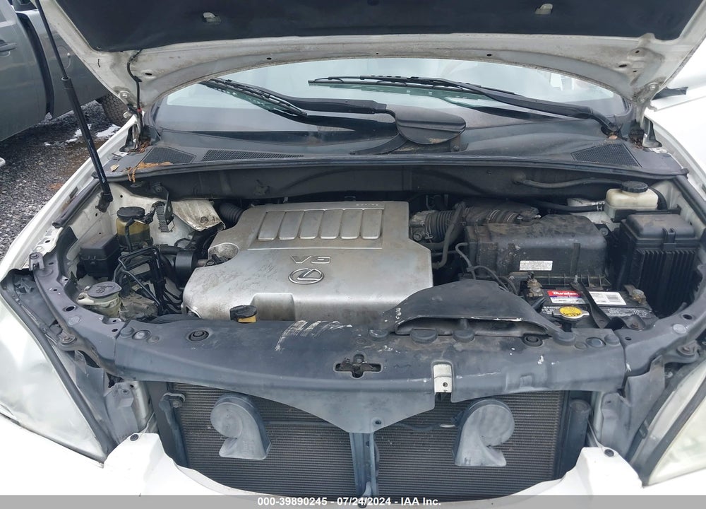 2007 LEXUS RX 350 VIN: 2T2GK31U67C007431