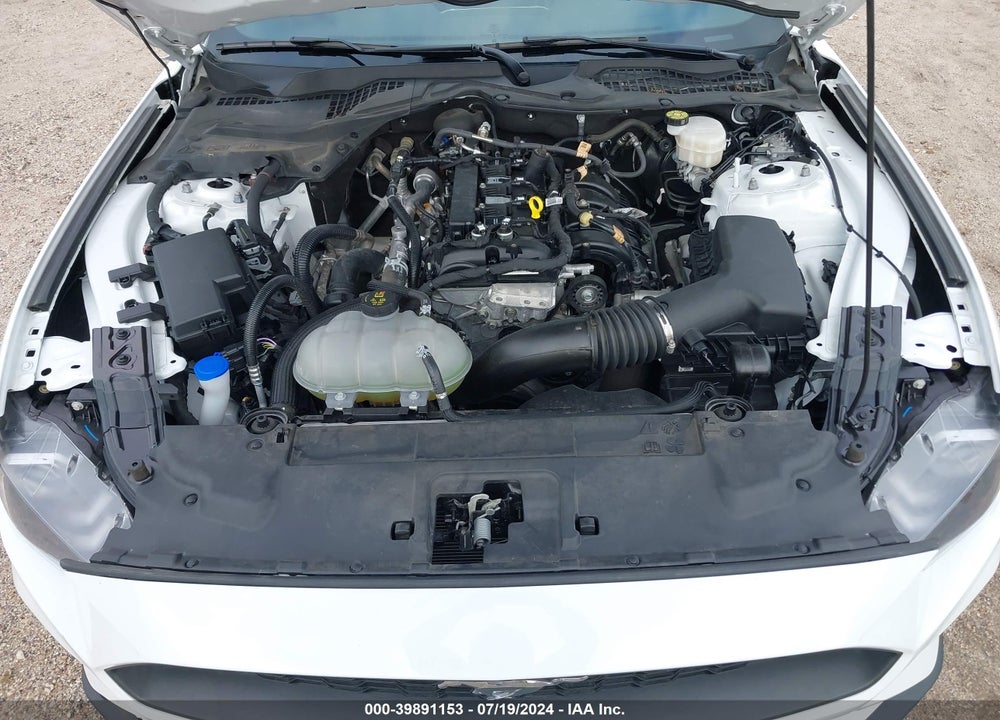 2023 FORD MUSTANG ECOBOOST PREMIUM FASTBACK VIN: 1FA6P8TH1P5113500