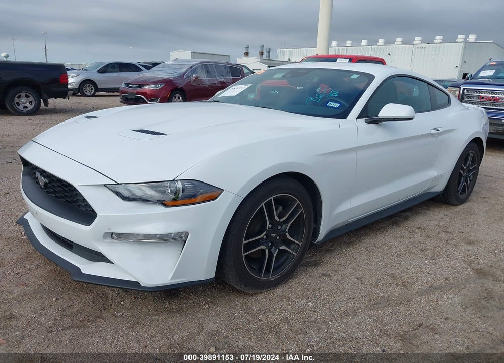 2023 FORD MUSTANG ECOBOOST PREMIUM FASTBACK VIN: 1FA6P8TH1P5113500