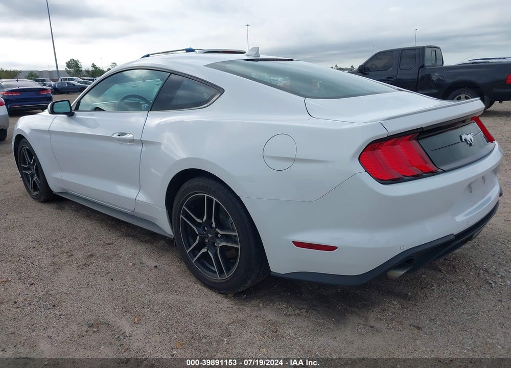 2023 FORD MUSTANG ECOBOOST PREMIUM FASTBACK VIN: 1FA6P8TH1P5113500