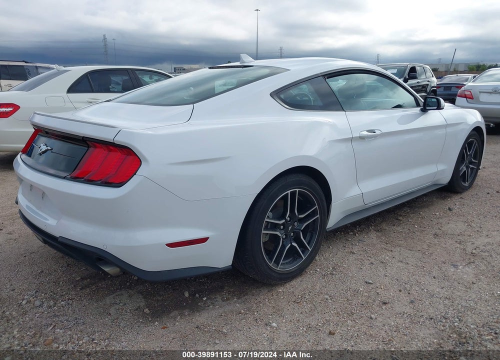 2023 FORD MUSTANG ECOBOOST PREMIUM FASTBACK VIN: 1FA6P8TH1P5113500