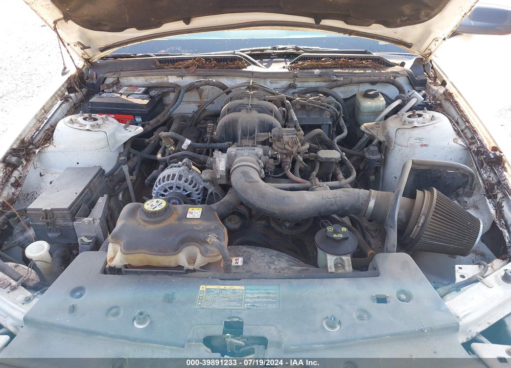 2006 FORD MUSTANG V6 VIN: 1ZVFT80N865263082