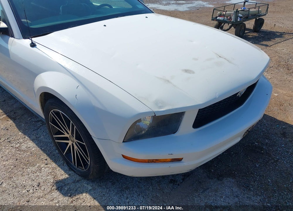 2006 FORD MUSTANG V6 VIN: 1ZVFT80N865263082