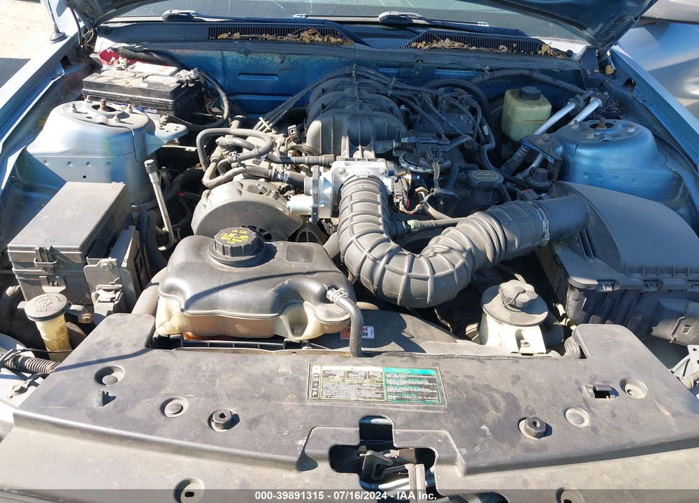 2005 FORD MUSTANG V6 DELUXE/V6 PREMIUM VIN: 1ZVFT80N855172800