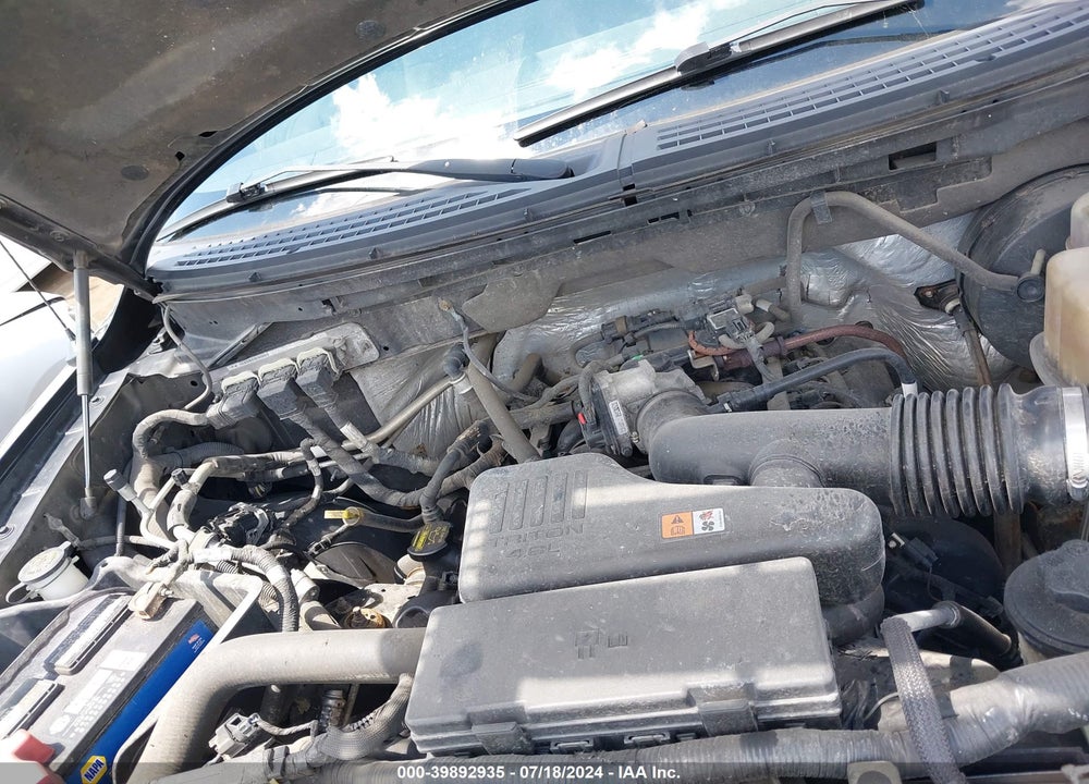 2009 FORD F-150 STX/XL VIN: 1FTRX12W09FB30896
