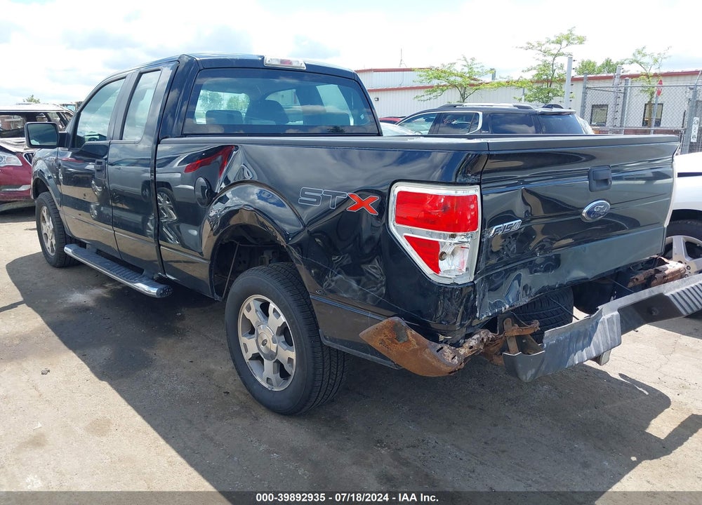 2009 FORD F-150 STX/XL VIN: 1FTRX12W09FB30896