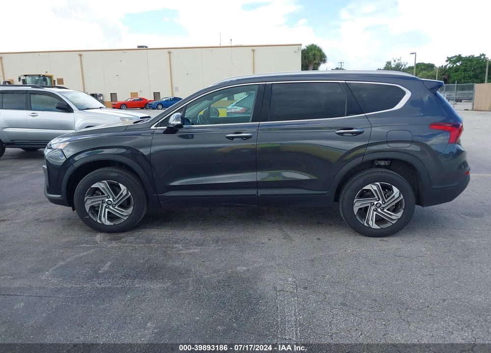 2023 HYUNDAI SANTA FE SEL VIN: 5NMS2DAJ6PH561119