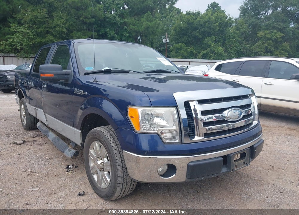 2009 FORD F-150 XL/XLT VIN: 1FTRW12879FB22153
