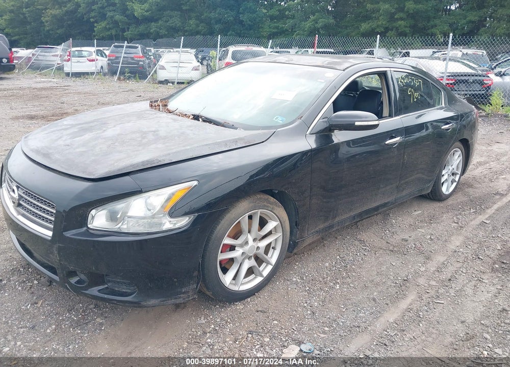 2010 NISSAN MAXIMA VIN: 1N4AA5AP5AC824429