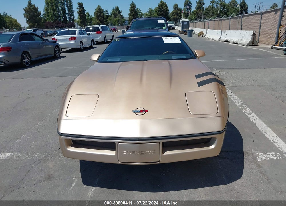 1984 CHEVROLET CORVETTE VIN: 1G1AY0781E5119722