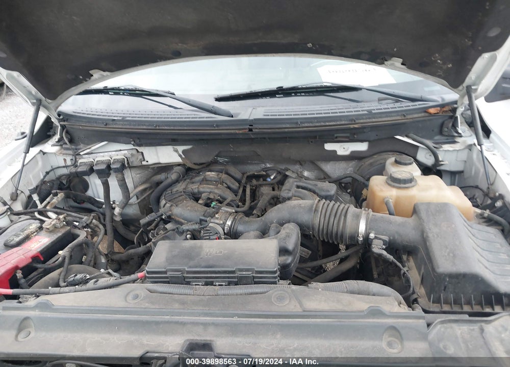 2011 FORD F-150 XL VIN: 1FTMF1CM8BKD76974