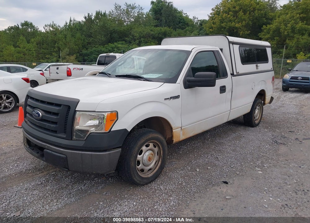 2011 FORD F-150 XL VIN: 1FTMF1CM8BKD76974
