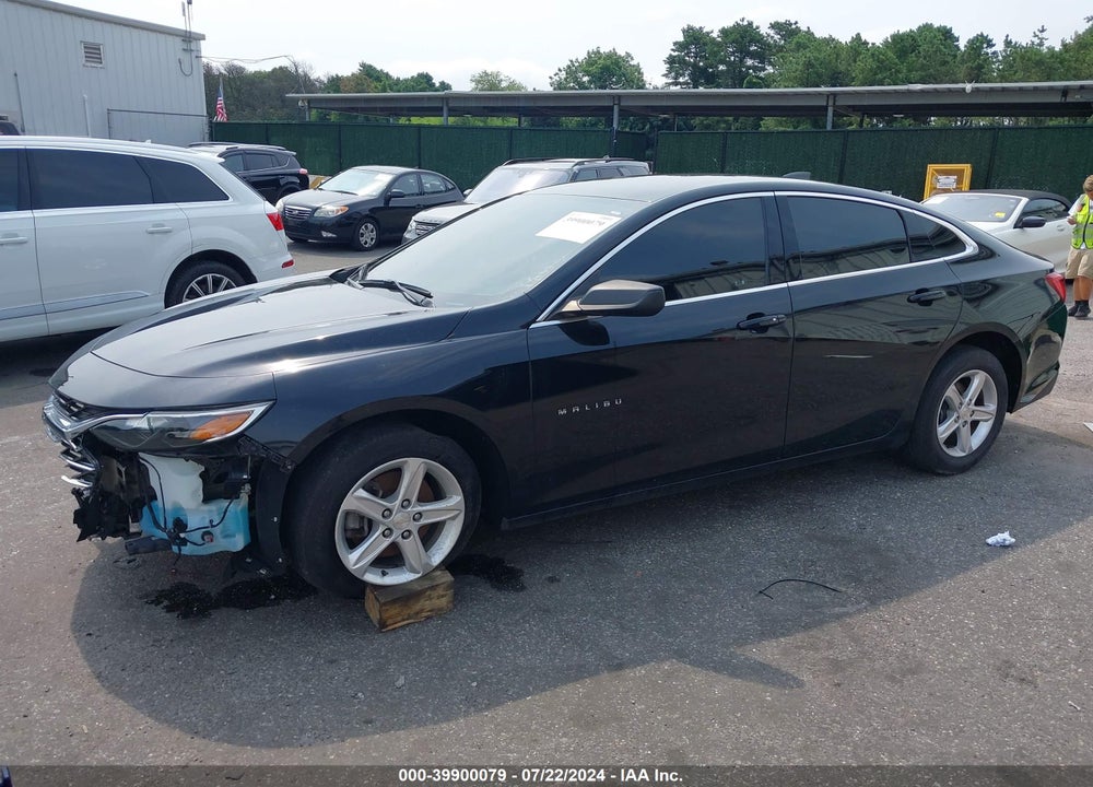 2019 CHEVROLET MALIBU 1LS VIN: 1G1ZB5ST2KF204975
