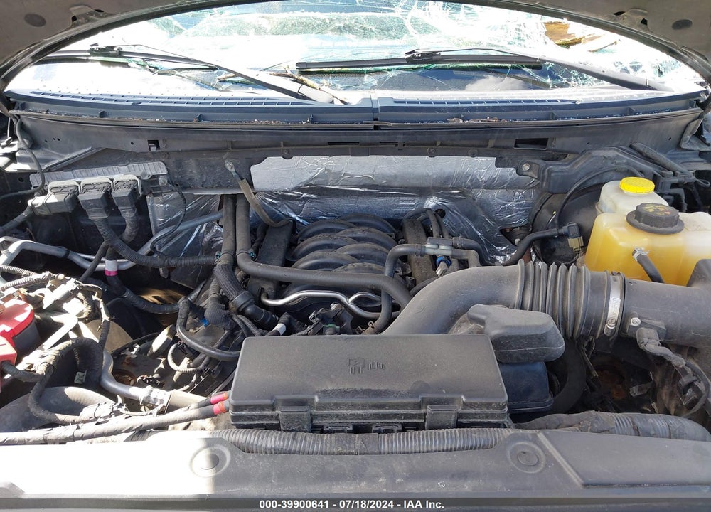 2014 FORD F-150 STX VIN: 1FTFX1EF9EKE17928