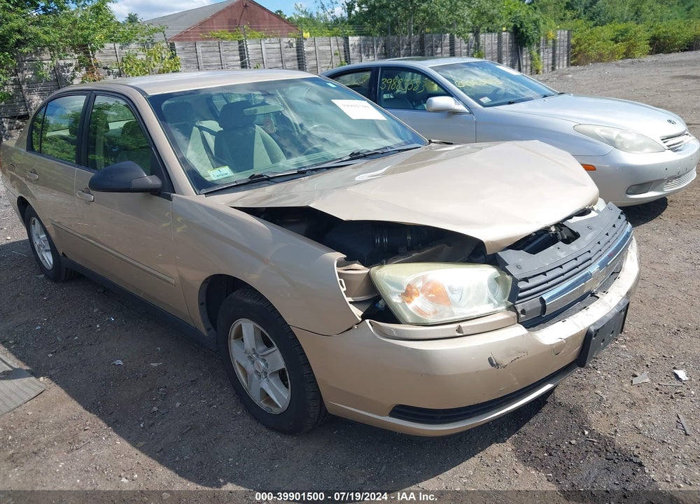 2004 CHEVROLET MALIBU LS VIN: 1G1ZT54874F122166