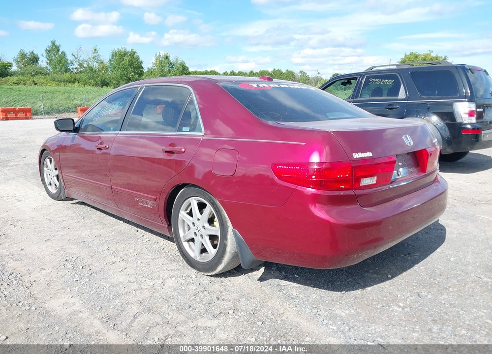 2005 HONDA ACCORD 3.0 EX VIN: 1HGCM66565A019081