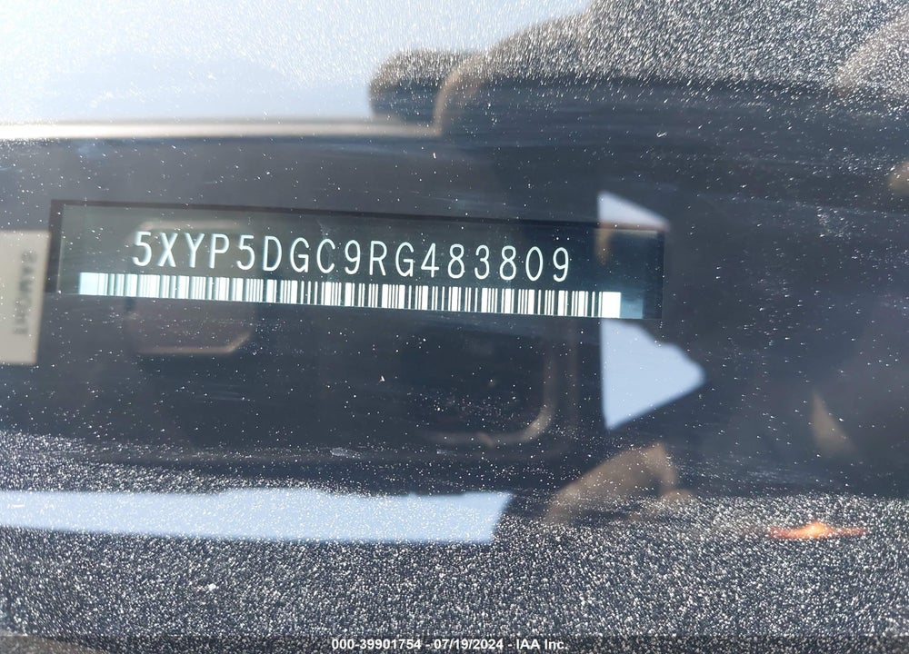 2024 KIA TELLURIDE SX X-LINE VIN: 5XYP5DGC9RG483809