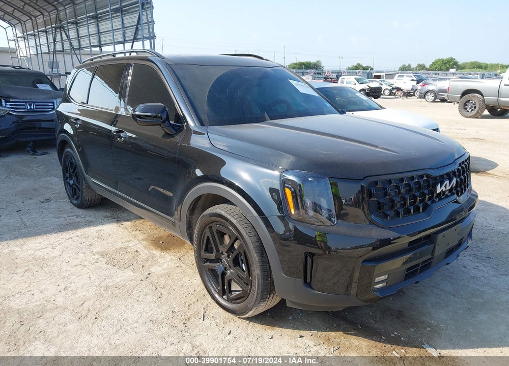 2024 KIA TELLURIDE SX X-LINE VIN: 5XYP5DGC9RG483809