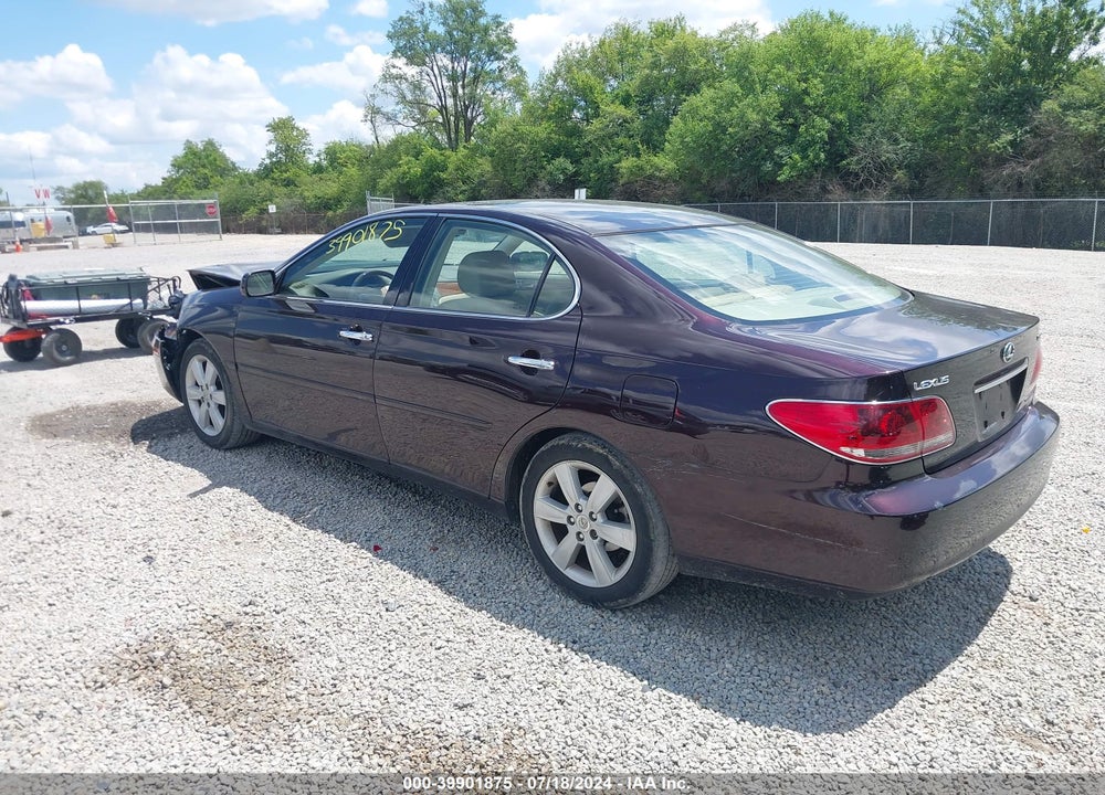 2005 LEXUS ES 330 VIN: JTHBA30G355117567