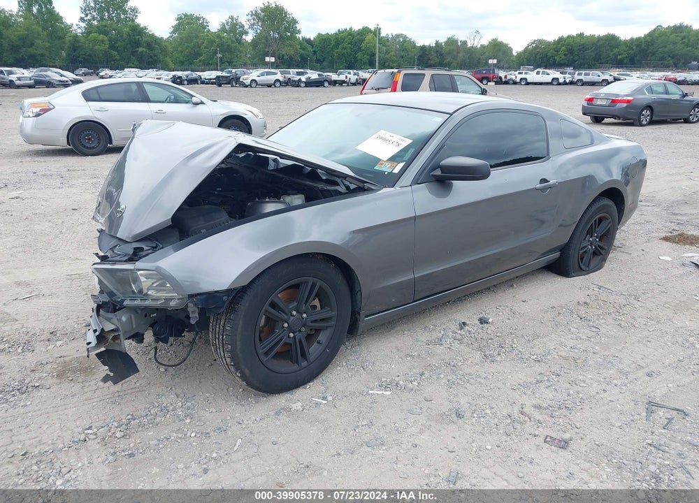 2014 FORD MUSTANG V6 VIN: 1ZVBP8AM6E5331001
