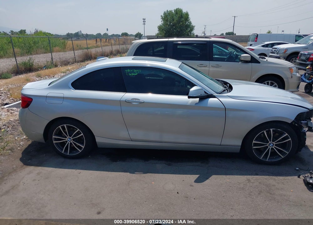 2019 BMW 230I XDRIVE VIN: WBA2J3C55KVD49109