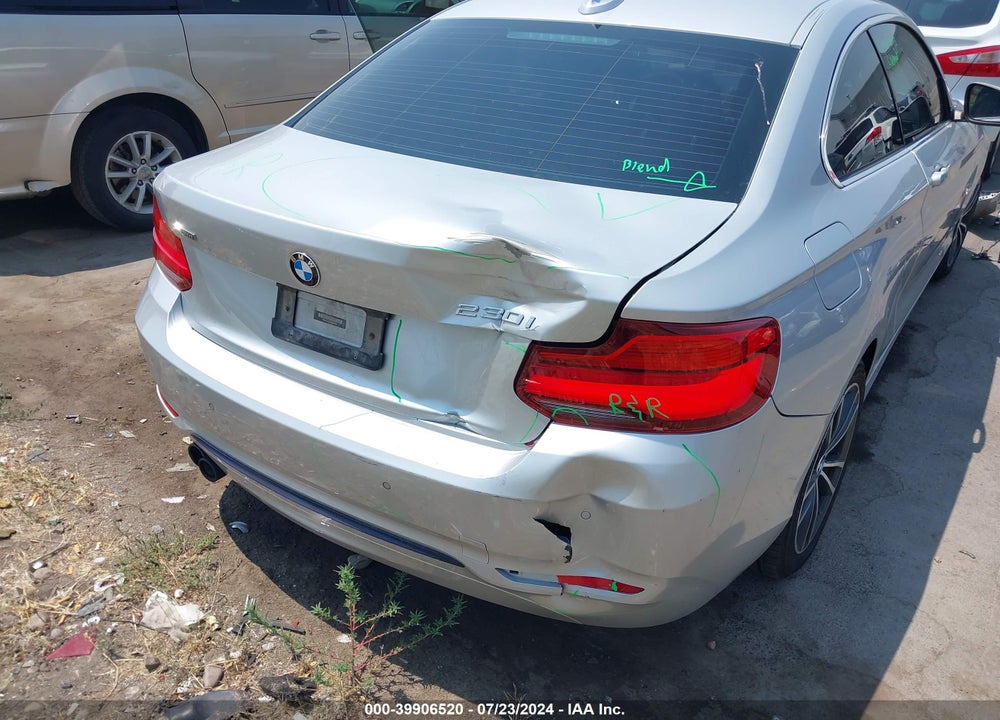 2019 BMW 230I XDRIVE VIN: WBA2J3C55KVD49109